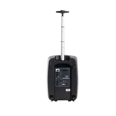 HAUT-PARLEUR PORTABLE 100W CHARIOT + MICROPHONE SERRE-TÊTE