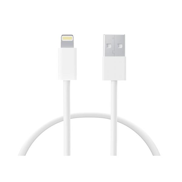 CONNEXION USB VERS LIGHTNING iPhone 12W 1m